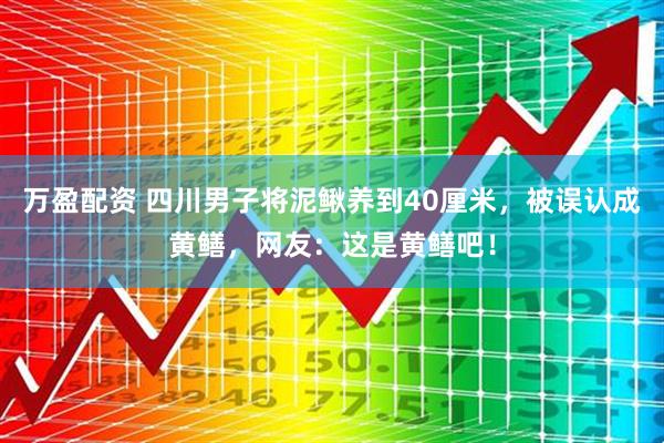 万盈配资 四川男子将泥鳅养到40厘米，被误认成黄鳝，网友：这是黄鳝吧！